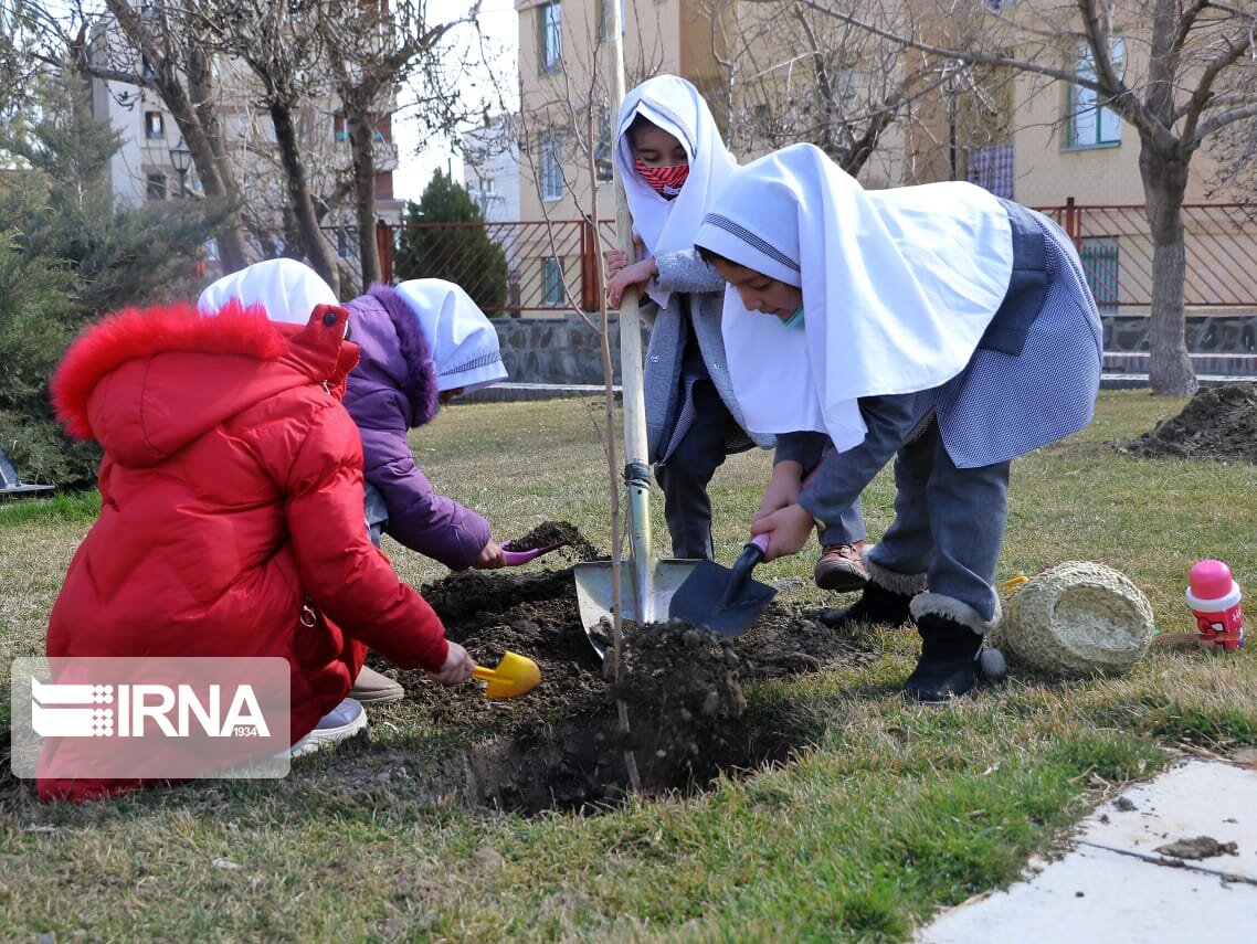 پیشنویس لایحه «نهضت مردمی توسعه درختکاری» تدوین شد