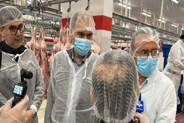 پیگیری تخصیص ارز برای واردات گوشت