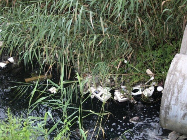 پیگیری مطالبات روستاییان سقز؛ از ساماندهی پساب تا رفع مشکل آب شرب