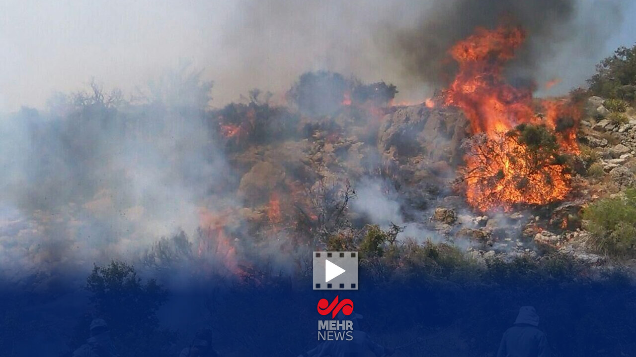 چهار حریق در جنگل های الیت در آبان امسال