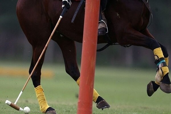 چهار ملیپوش چوگان در انتظار ویزای آمریکا؛ مجوز سفر دو بازیکن صادر شد