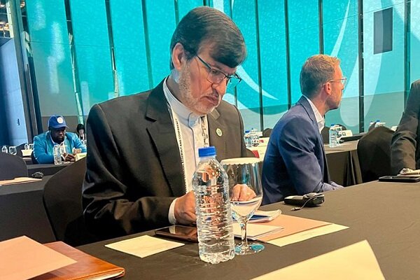 کارگری در کنفرانس IPC: یک روز به نام روز جهانی پارالمپیک نامگذاری شود