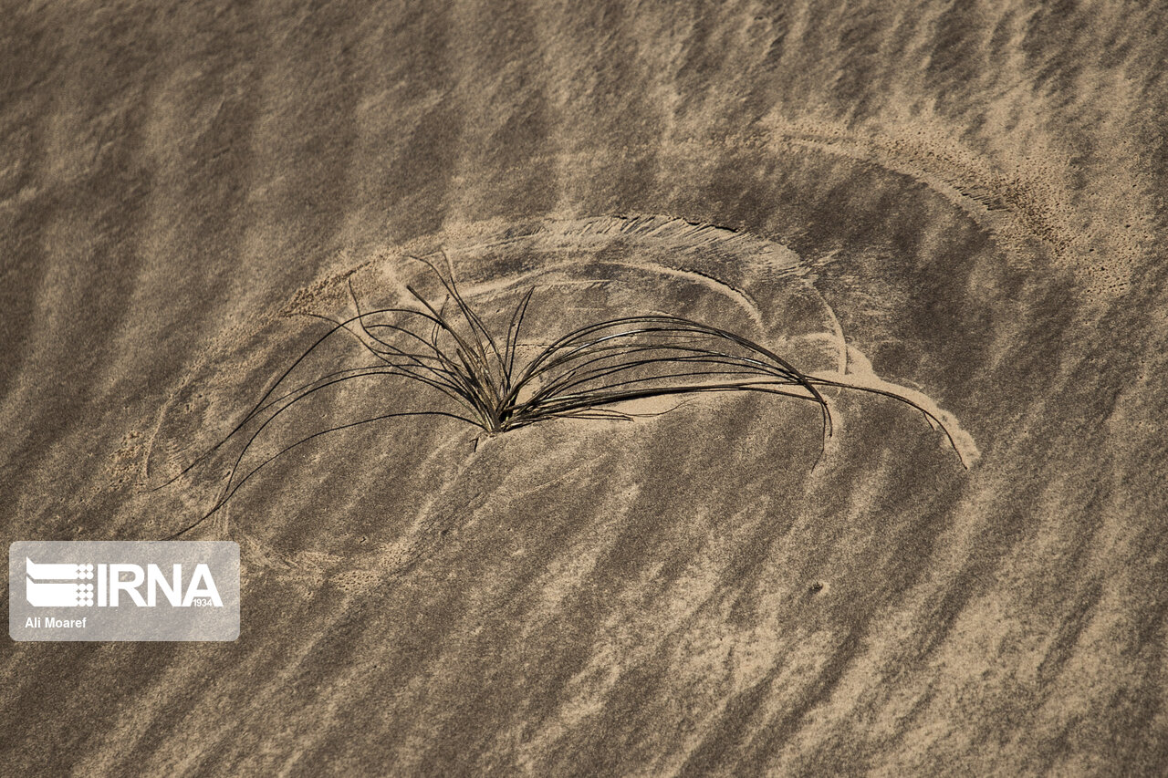 کانونهای گرد و غبار داخلی و کشورهای همسایه مدیریت میشود