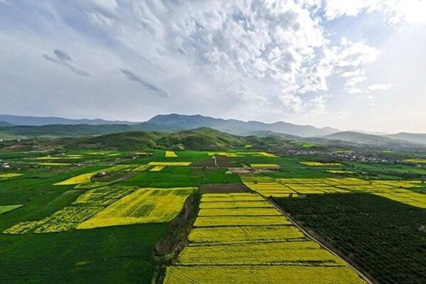 کاهش پروندههای تغییر غیرمجاز کاربری اراضی با سامانه مدیریت زمین