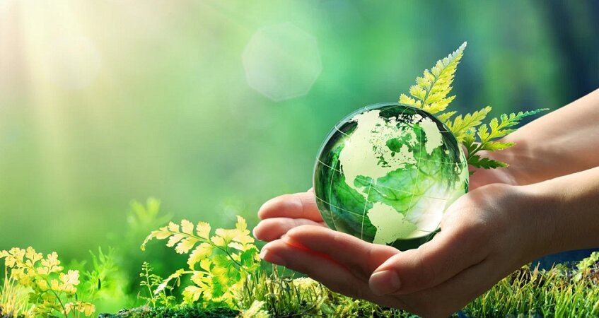 کاهش ۶۰ درصدی حریق در منابع طبیعی قروه؛حرکت در مسیر صیانت از میراث ملی
