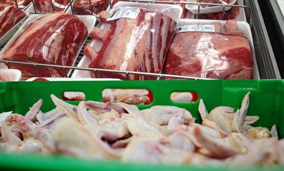 کردستان در مسیر تأمین مرغ و گوشت؛ توزیع ۲۴۰ میلیارد تومان نهاده دامی