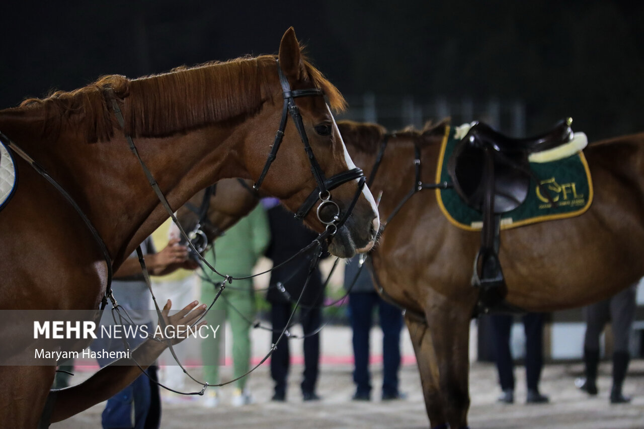 کسب عنوان سوم تیمی کمانگیری بر روی اسب به
نام ایران