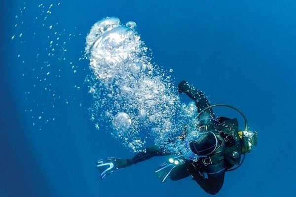 کسب ۴ کرسی بین المللی توسط فدراسیون نجات غریق وغواصی