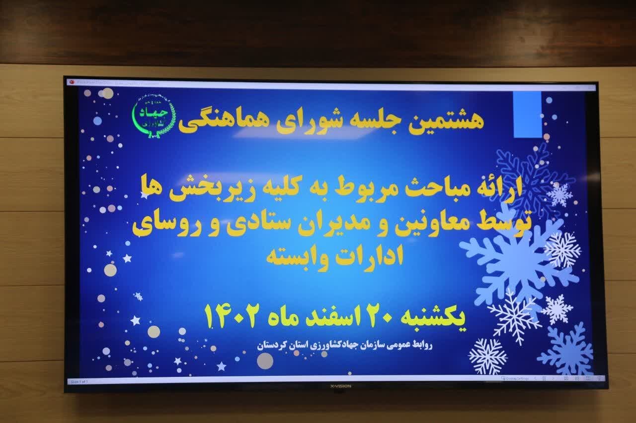 کشاورزان کردستان ۱۲۶۳ طرح تسهیلات اشتغال دریافت کردند