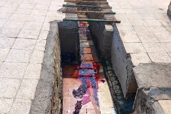 کشتارگاه دام بندرعباس به دلیل تهدید علیه سلامت عمومی پلمب شد