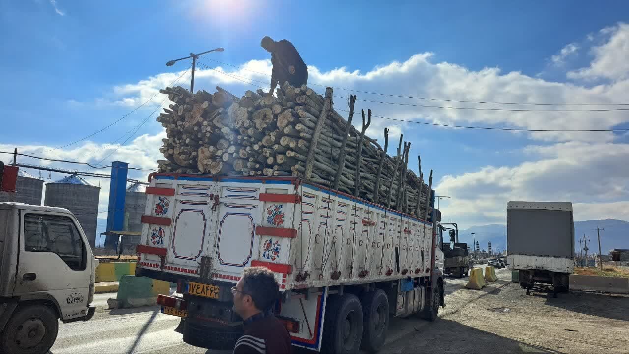 کشف محموله قاچاق چوب بید در کامیاران