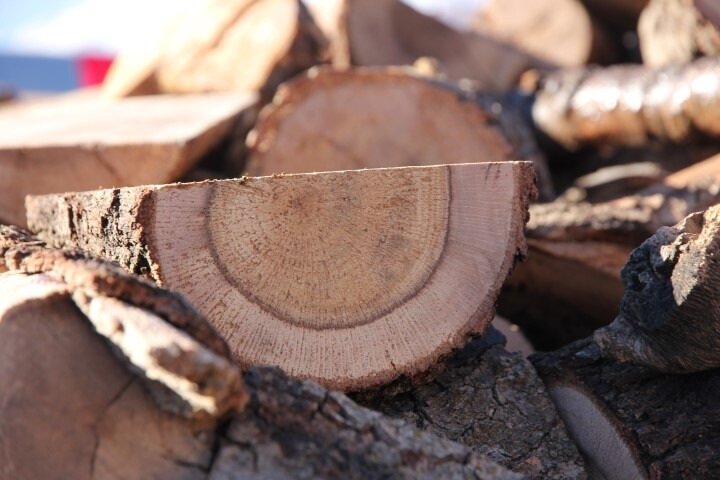 کشف و ضبط ۱۳۰۰ کیلوگرم محمولە چوب جنگلی در بوکان