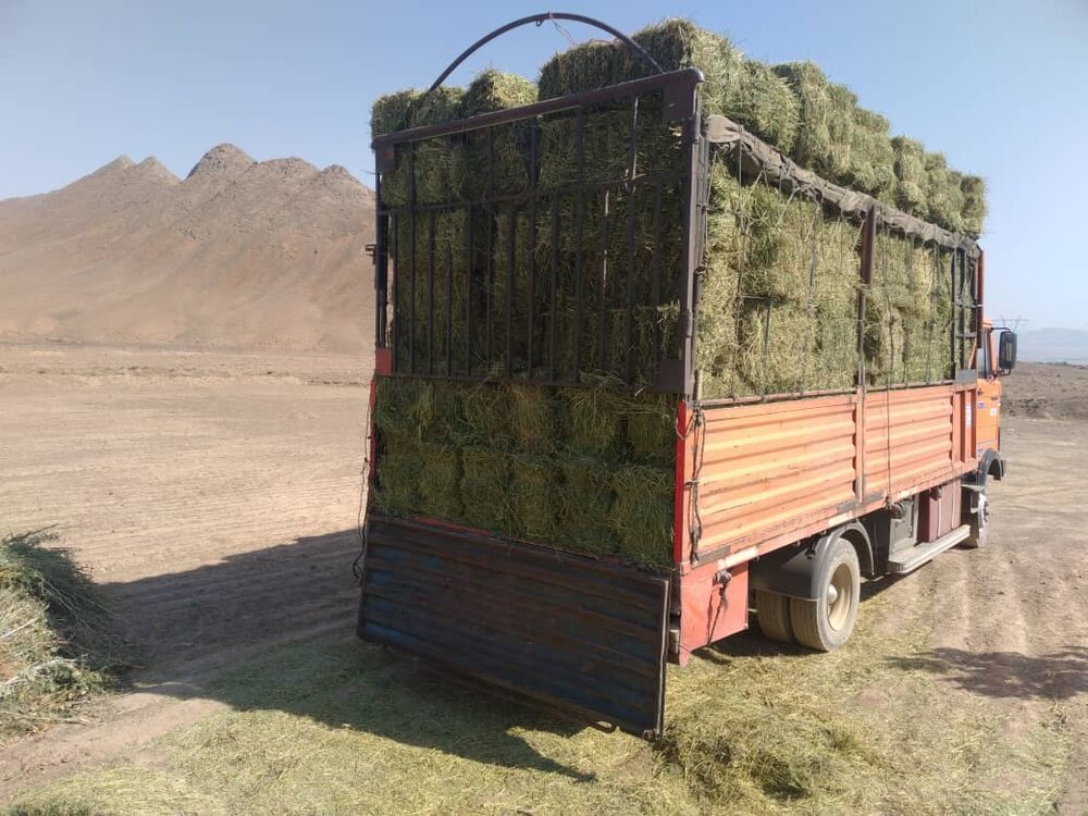 کشف چمدانهای قاچاق از زیر بار علوفه