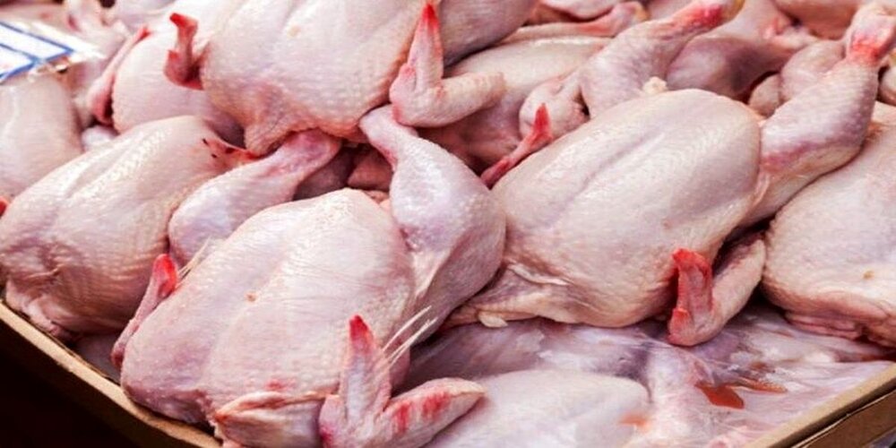 کمبود گوشت مرغ در سطح استان برطرف شد