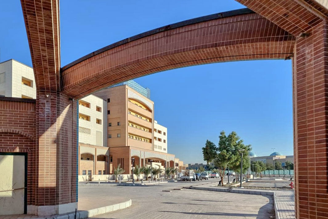 کولیوند: بیمارستان هلال‌احمر ایران در نجف با ۵ درمانگاه افتتاح می‌شود