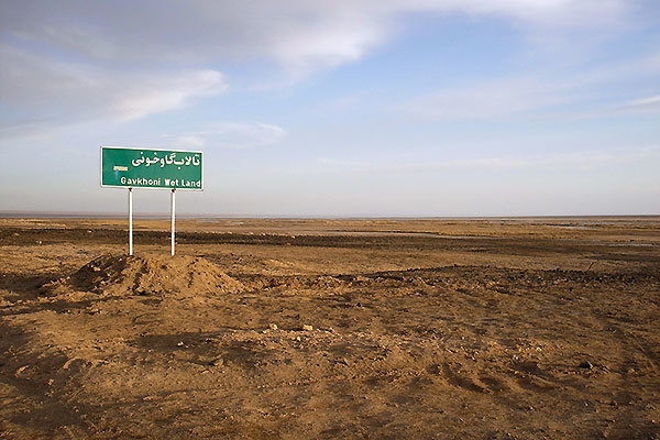 گاوخونی برای پایداری زیستی به ۸۰ میلیون مترمکعب آب نیاز دارد