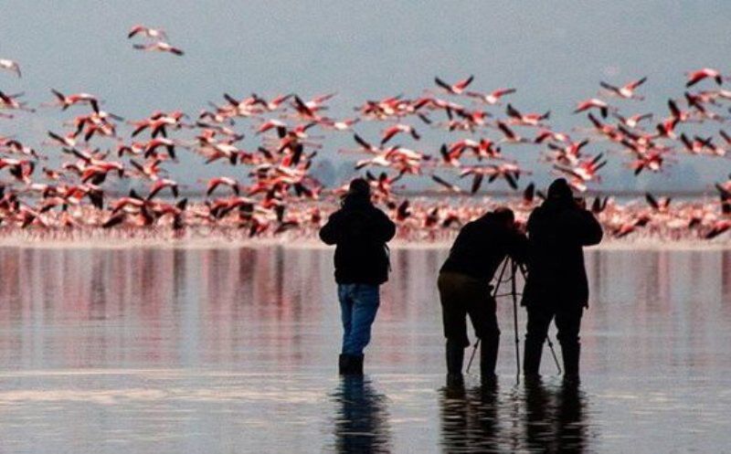 گردشگری در میانکاله ؛سردرگم در کلاف کاغذبازی‌های اداری