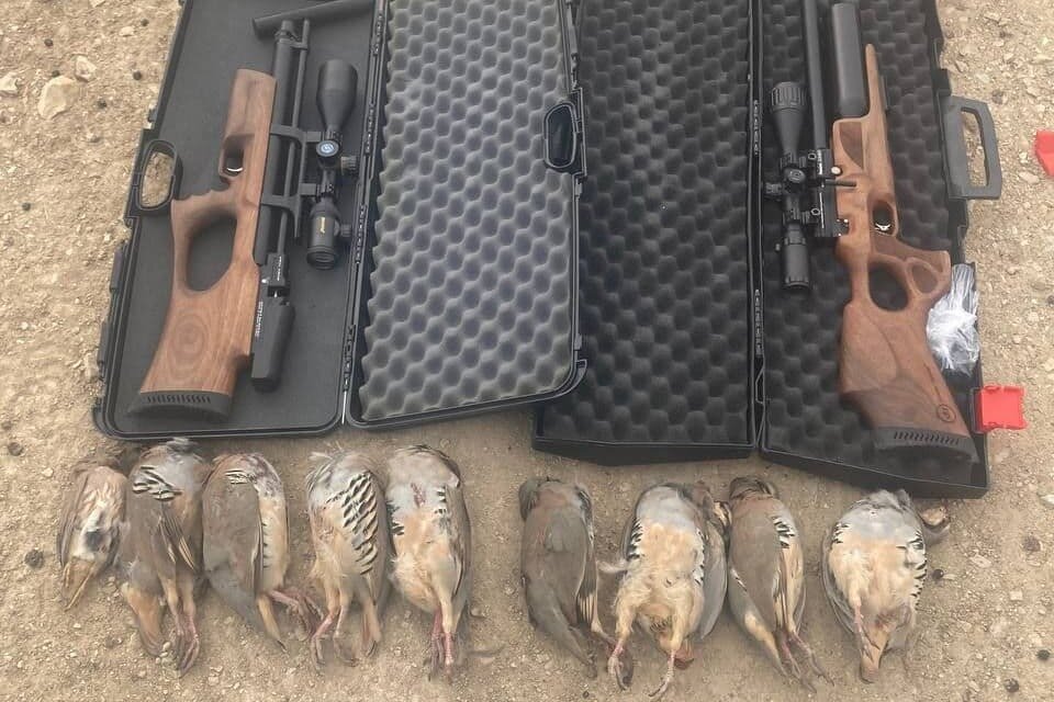 گریزی برای شکارچیان در شاهرود نیست/ کشف لاشه ۹ قطعه کبک و تیهو