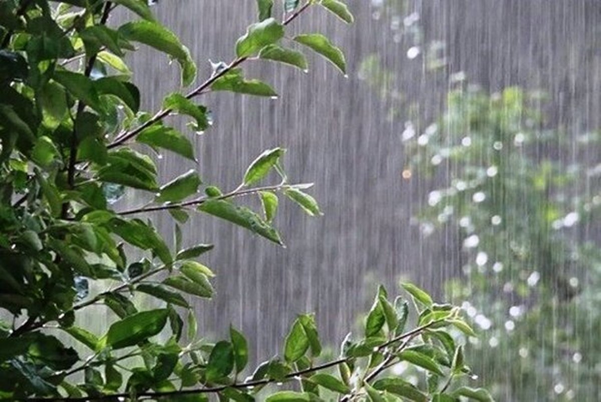 گزارش بارندگی از ۳۵۰ ایستگاه هواشناسی کشور