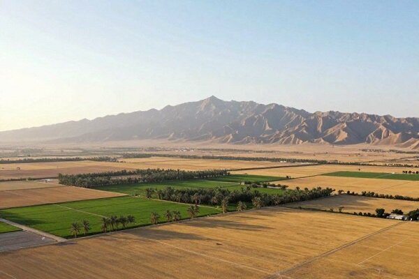 گزارش‌های مردمی بازوی اصلی مقابله با زمین‌خواری در کردستان