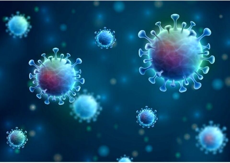 گزارشی از سویه جدید کرونا در کشور نداریم/عادیانگاری ممنوع