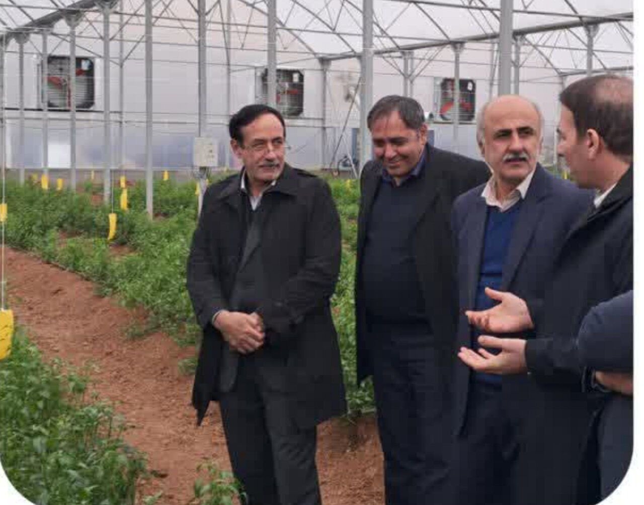 گلخانه سبزی و صیفی در روستای سراب‌قامیش سنندج افتتاح شد