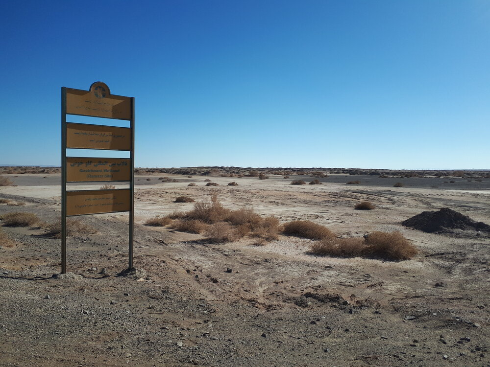 گلعلیزاده: تالاب گاوخونی به دلیل سوءمدیریت کانون گردوغبار شده است