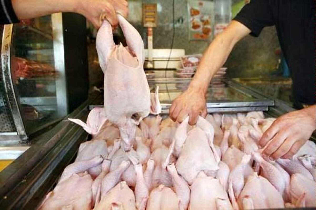 گلوگاه‌های خروج مرغ از آذربایجان غربی باید شناسایی
شود