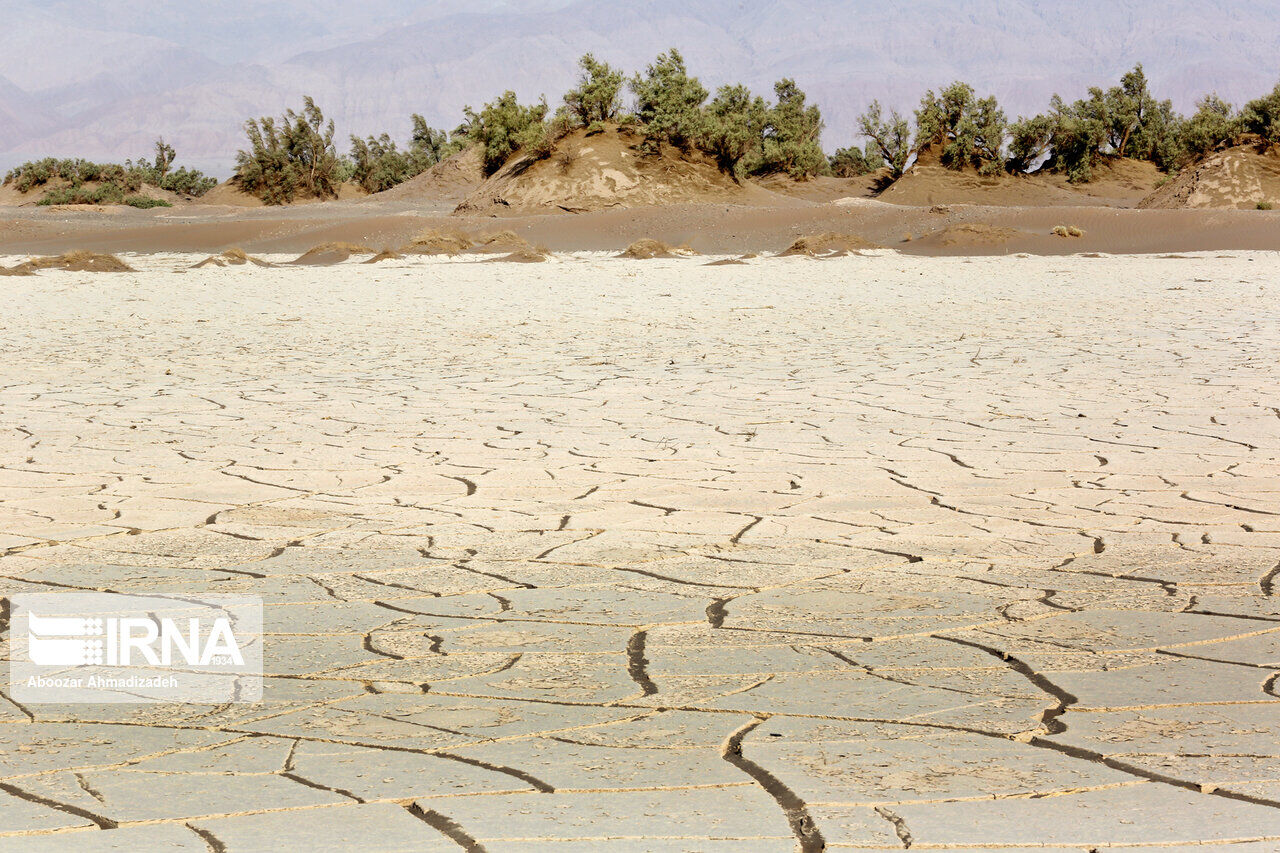 ۱۵۰ هزار هکتار از مراتع گنبد در معرض بیابانیشدن قرار دارد