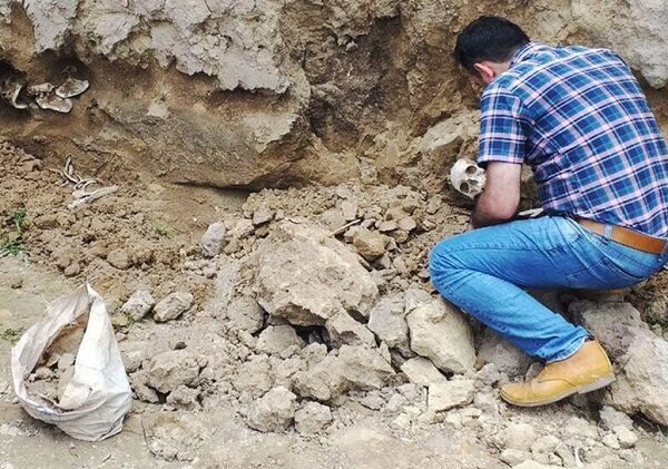 ۲۵۰۰ میلیارد ریال برای تعیین عرصه و حریم تپه تاریخی هزینه می شود