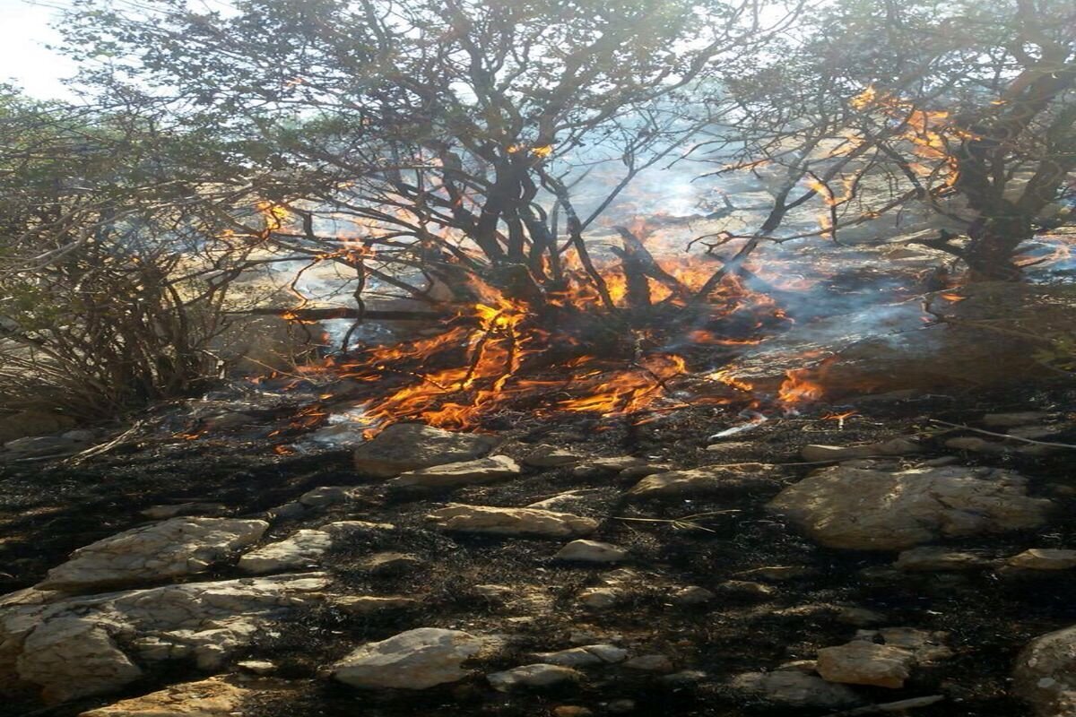 ۲۸ هکتار از مراتع روستای محمودآباد بوکان طعمه حریق شد