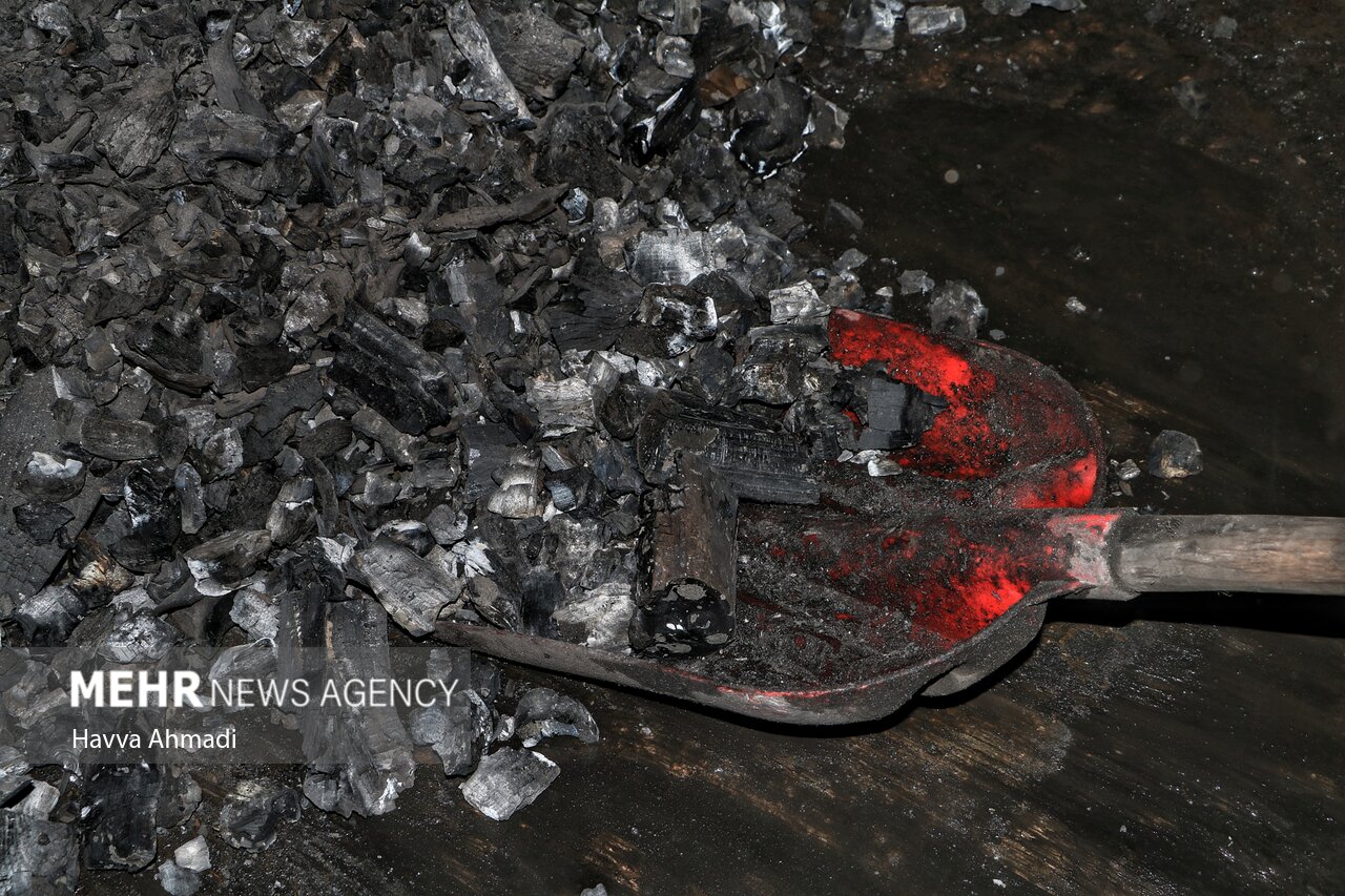 ۳هزار و ۴۵۶ کیلوگرم زغال در کردستان کشف و ضبط شدهاست