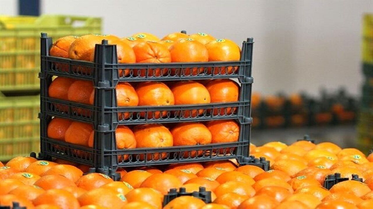 ۳۷ تن میوه تنظیم بازار شب عید در بیجار توزیع شد