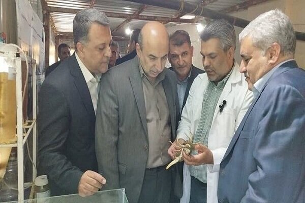 ۳۸۰۰ تن محصولات شیلاتی از دریاچه پست سد ارس صید شده
است