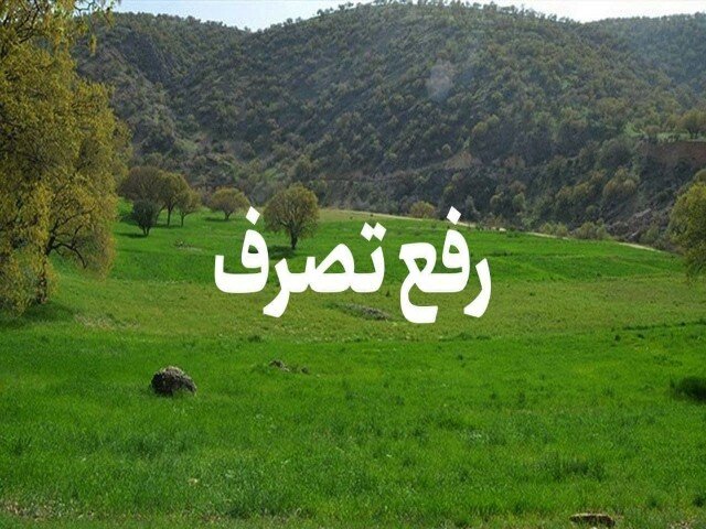 ۴۰۰۰ متر مربع اراضی محیط زیست رفع تصرف شد