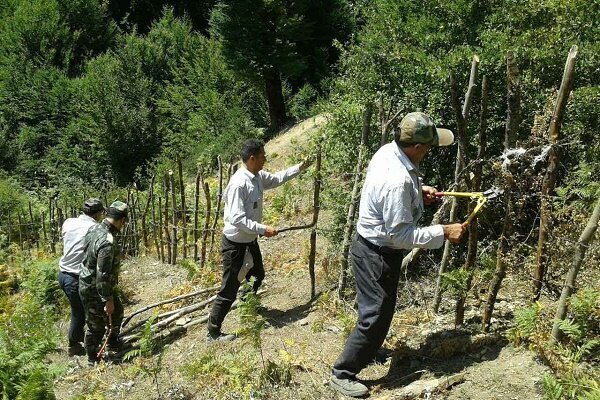 ۴۴۰ هزار مترمربع از اراضی طبیعی کردستان رفع تصرف شد