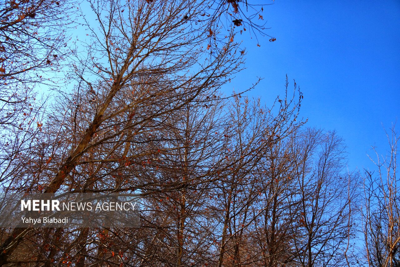 ۵۰ درجه اختلاف دما طی یک روز در ایران/گرم ترین و سردترینمنطقه