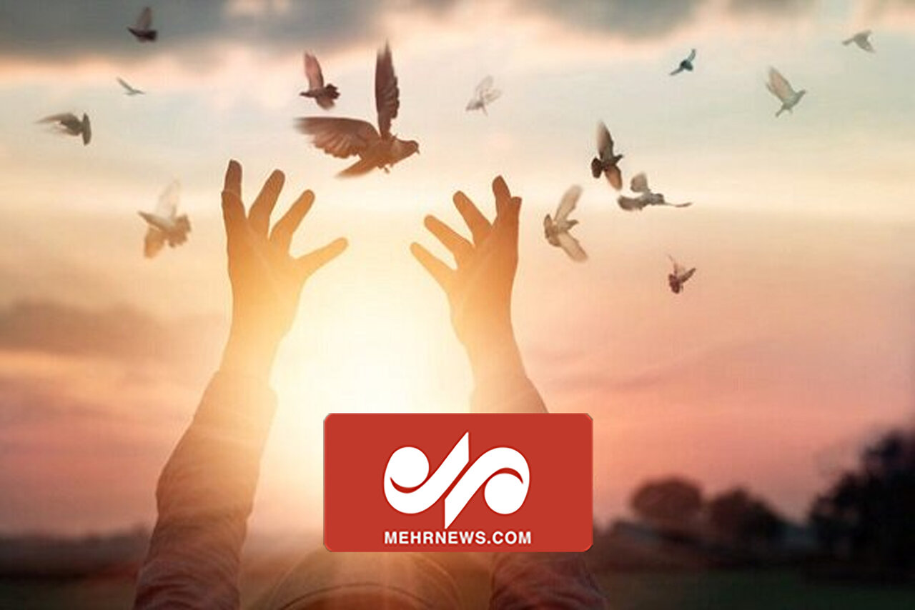 ۵۵۱ نفر با حکم قصاص مورد عفو قرار گرفتند