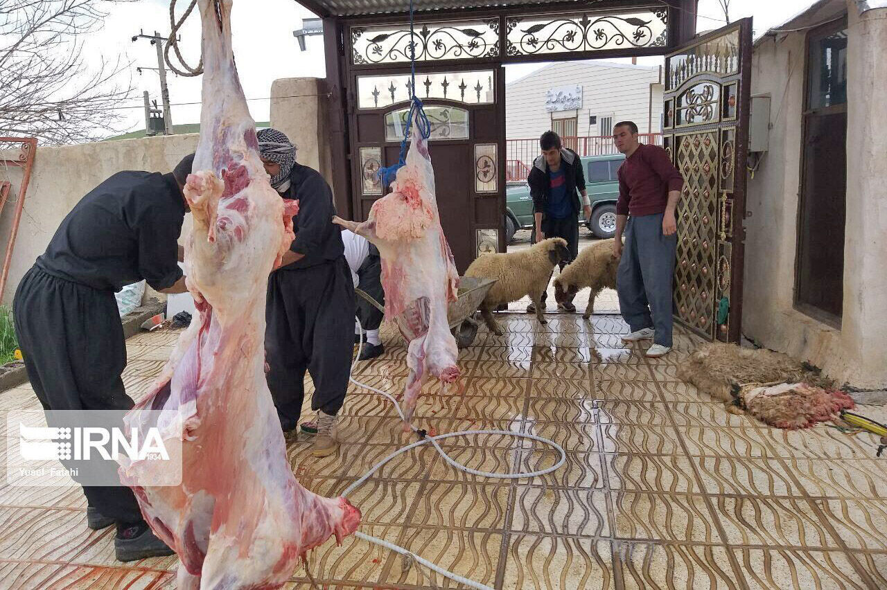 ۶۰ اکیپ دامپزشکی کردستان بر ذبح دام‌های قربانی نظارت می‌کنند
