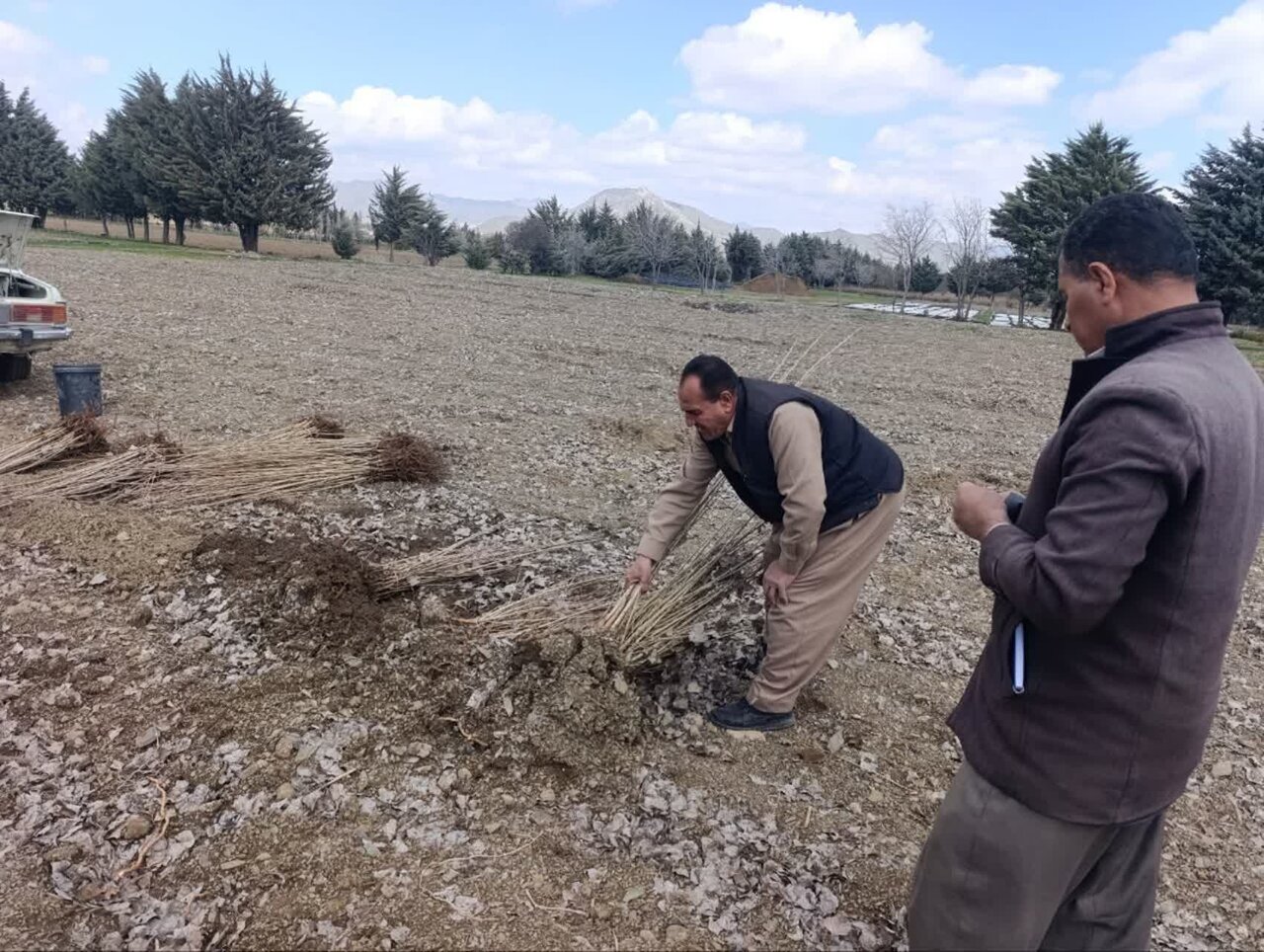 ۶۰ هزار نهال در مریوان توزیع شد