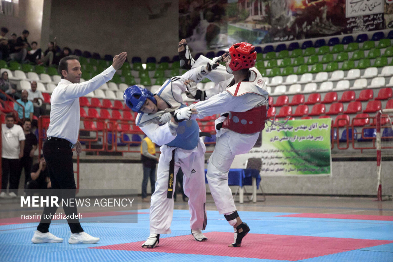 ۷ مدال حاصل تلاش تکواندوکاران فارس در مسابقات جام ستارگان کشور