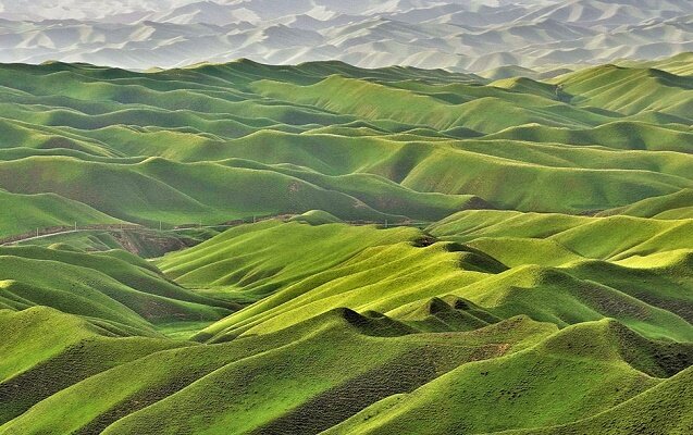 ۸۰۰ هکتار از اراضی «دُزالوم» به نام منابع طبیعی سندخورد