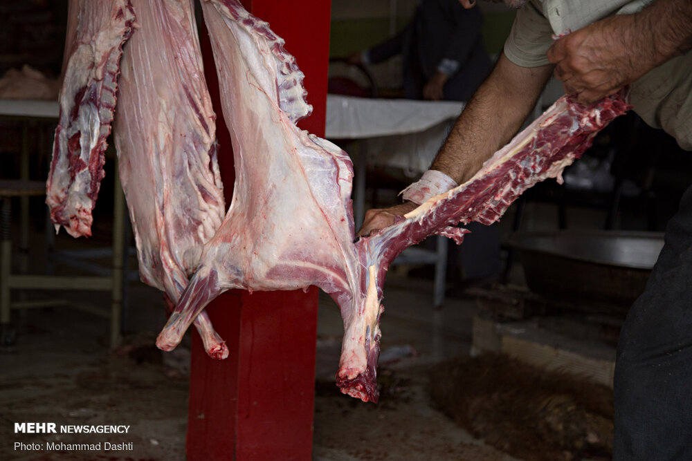 ۸۲۰ تن گوشت منجمد برای هیئت ‌های مذهبی آذربایجان غربی تامین
شد