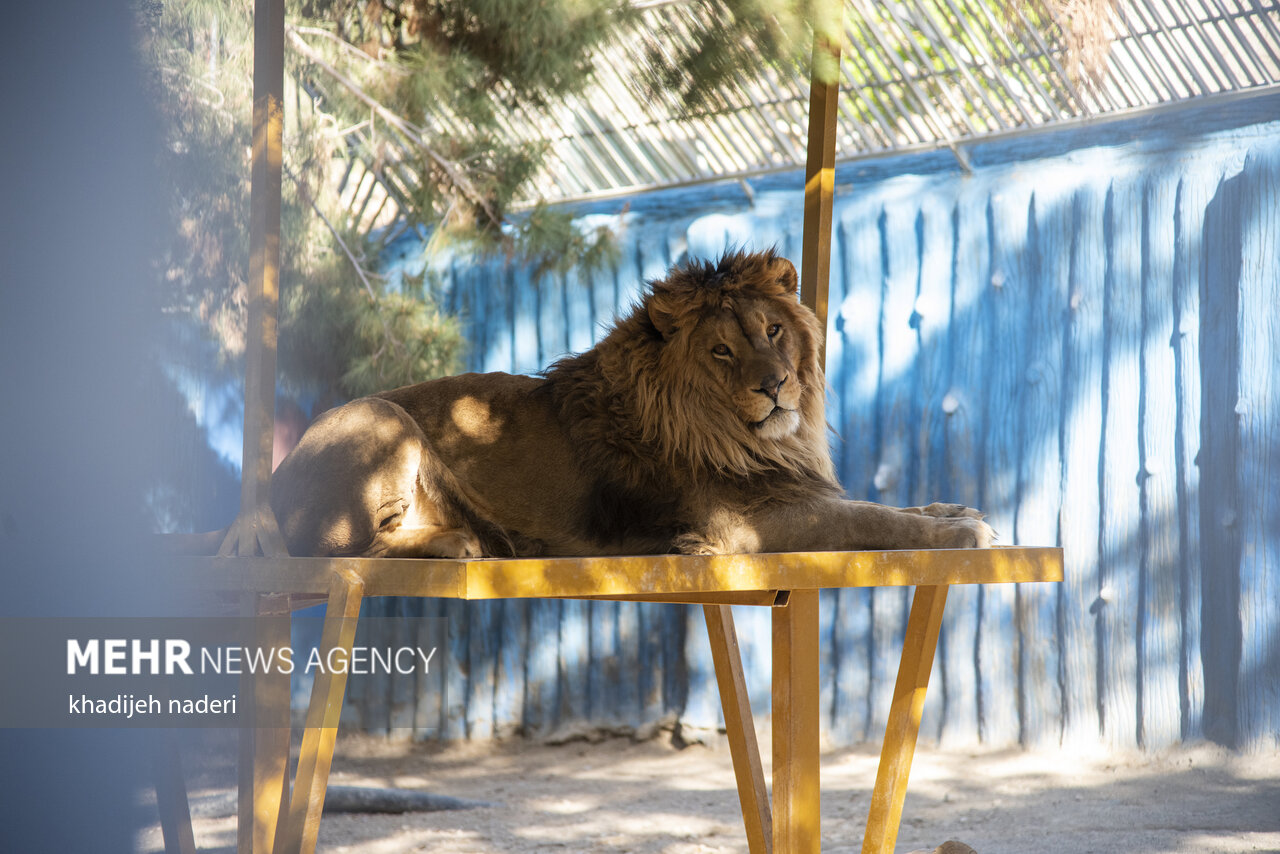۸۵۰۰ گردشگر از پارک حیات وحش صفه اصفهان بازدید کردند