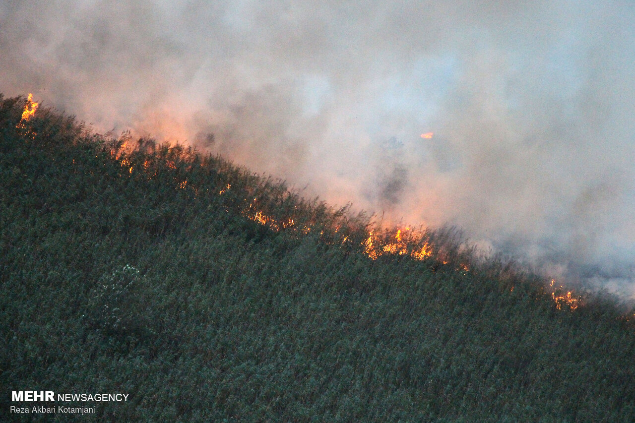 ۹۰ درصد آتش انزلی مهار شد/ احتمال اطفای حریق تا امشب