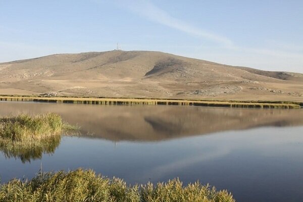 ۹۰ درصد از تالاب «قوپی باباعلی» مهاباد آبگیری و احیا
شد
