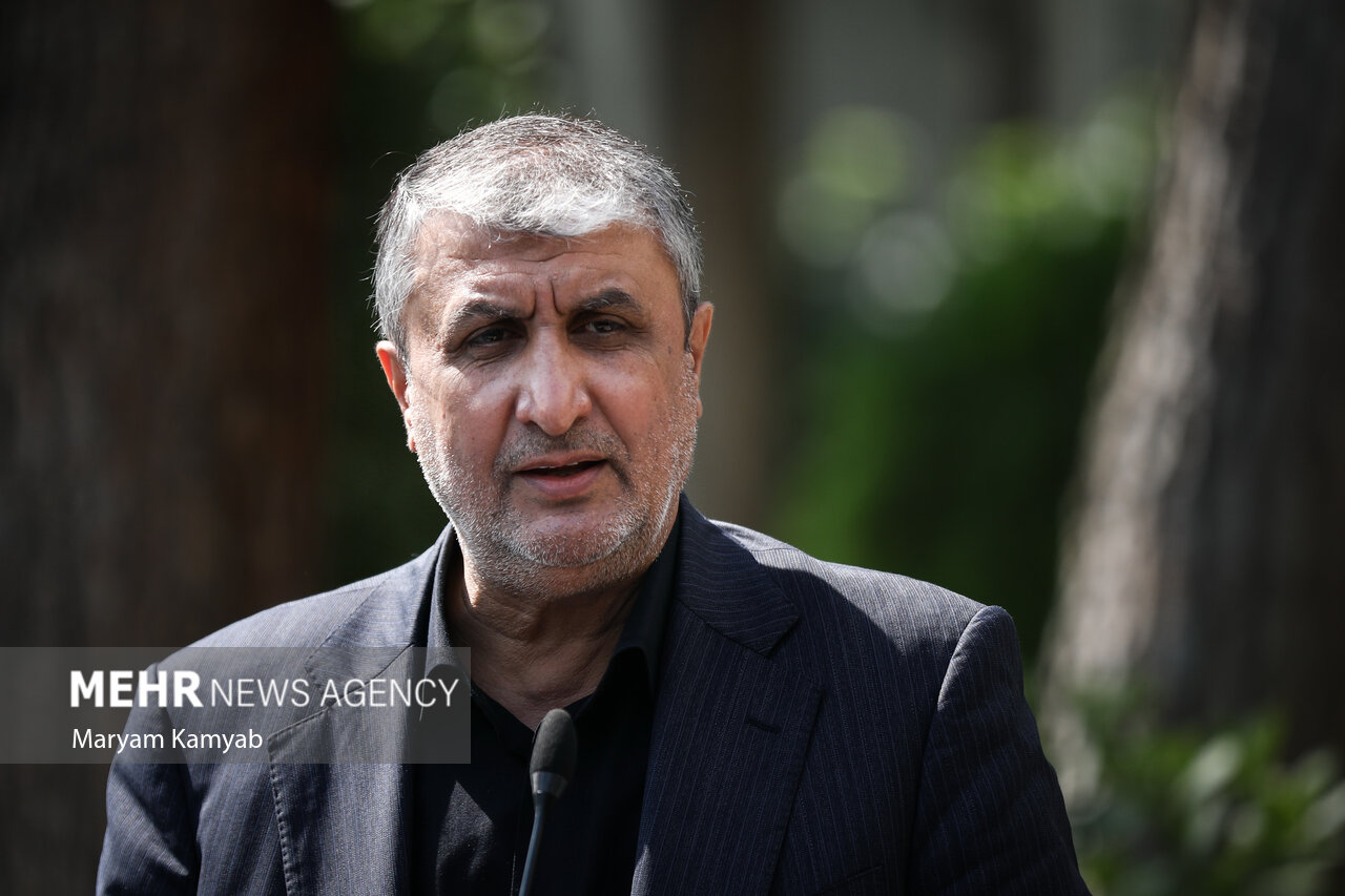 ایران در زمره پنج کشور اول دنیا در حوزه رادیو دارو قرار
دارد