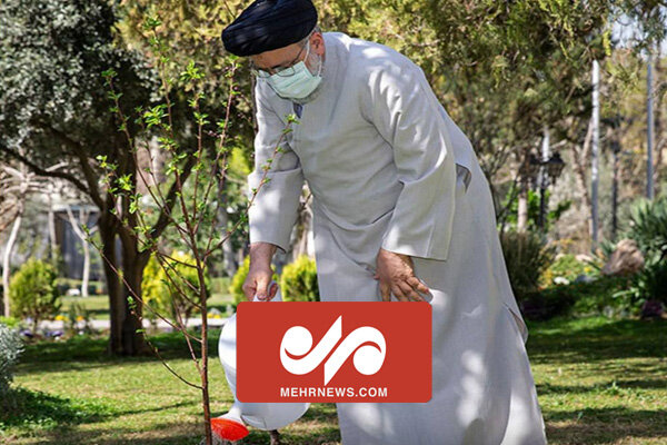 فیلم کاشت یک نهال توسط رئیس جمهور به مناسبت روز
درختکاری