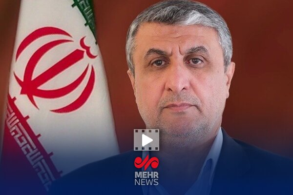 اسلامی: ایران با آژانس داوطلبانه و حسن‌نیت همکاری
می‌کند