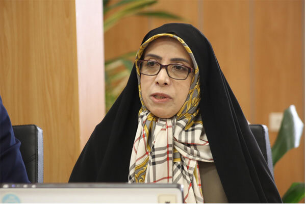 امین‌زاده: سرمایه اجتماعی ابزار قدرت ایران است